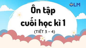 Ôn tập cuối học kì 1 (Tiết 3 - 4) - Tiếng Việt 4 - Kết nối tri thức với cuộc sống [OLM.VN]