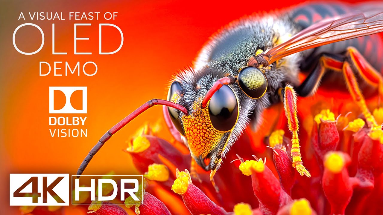 Incredible 4K HDR 60 FPS: A Visual Feast for Your Eyes (4K Video) - YouTube