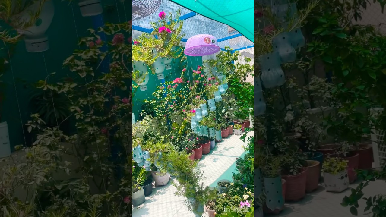 Home Entrance decor Ideas 💐#balconydecor #gardening #youtubeshorts