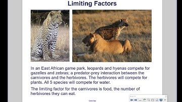 Ecosystem Impact on Population Size and Resources