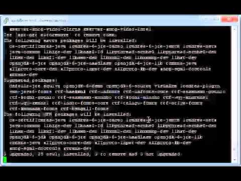 Setting up a Linux Minecraft Server (and Installing Java)