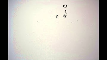 Binary Numbers Explained