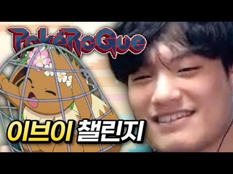 급한대로 써야겠다 : 이브이 챌린지 【포켓로그】