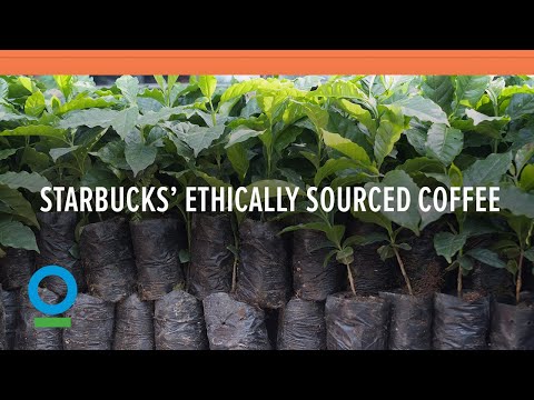 Video: Ce este Starbucks CAFE Practices?