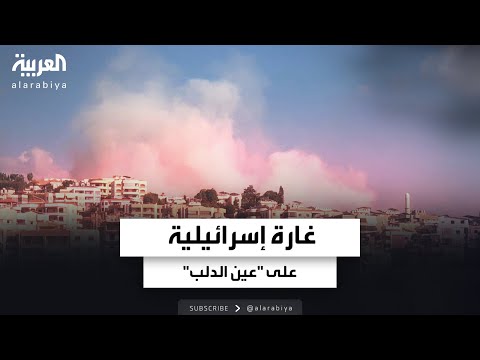 24 قتيلا وعشرات الجرحى في غارة إسرائيلية على عين الدلب شرق صيدا