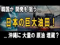 韓国が開発を狙う、日本の巨大油田！― 沖縄トラフに大量の原油・天然ガスが埋蔵か？