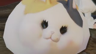*fatter cat noises*