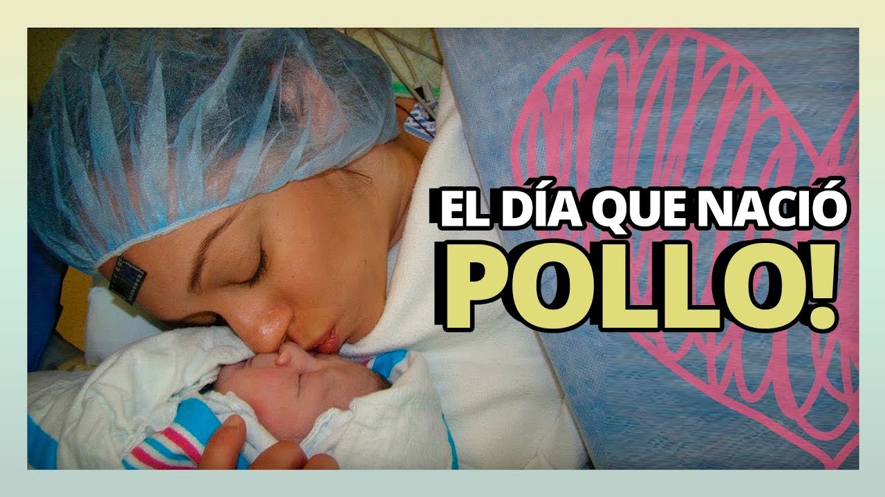 EL DIA QUE NACIO POLLO:  Un 