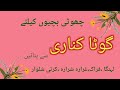 Very Stylish Gota Work Dress Designs for Little Girls 2026/Baby Girl Gota Lace Dress Designing Ideas