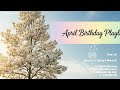 April's Blessing - Acoustic Pop | Birthday Song for April 🌿