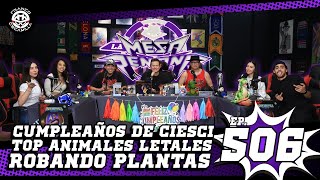 La Mesa Reñoña 506.- Cumpleaños de Ciesci/ Top animales letales/ Robando Plantas La Mesa Reñoña 506.- Cumpleaños de Ciesci/ Top animales letales/ Robando Plantas