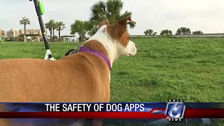 Pet apps: how to ensure your pet's safety when left with a stranger