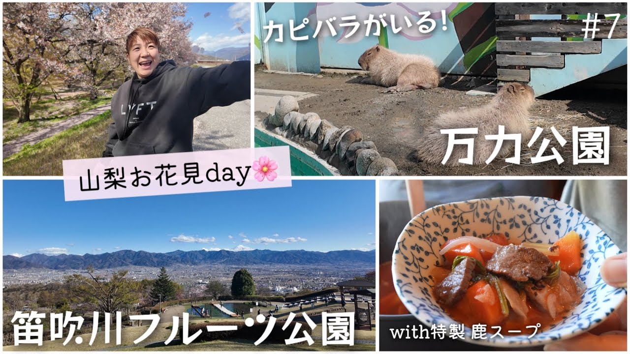 【#7】山梨 カピバラがいる万力公園&笛吹川フルーツ公園でお花見🌸鹿肉スープ|こたつ|築古平屋田舎暮らし