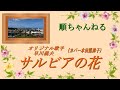 サルビアの花/早川義夫(カバー本田路津子)