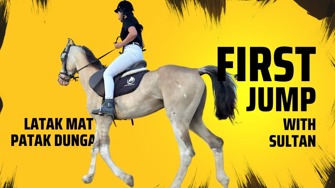Thrilling First Jump on Sultan | Conquering New Heights | Aravali Horse Riding Club | #24
