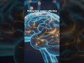 POV: Mozart for Babies Brain Development 🧠🎻 #shorts #baby #mozart