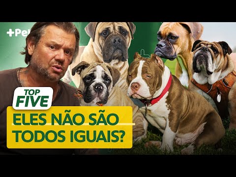 AS CINCO DIFERENTES