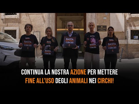 Abbiamo portato i vostri messaggi al Ministro della Cultura contro l'uso degli animali nei Circhi!