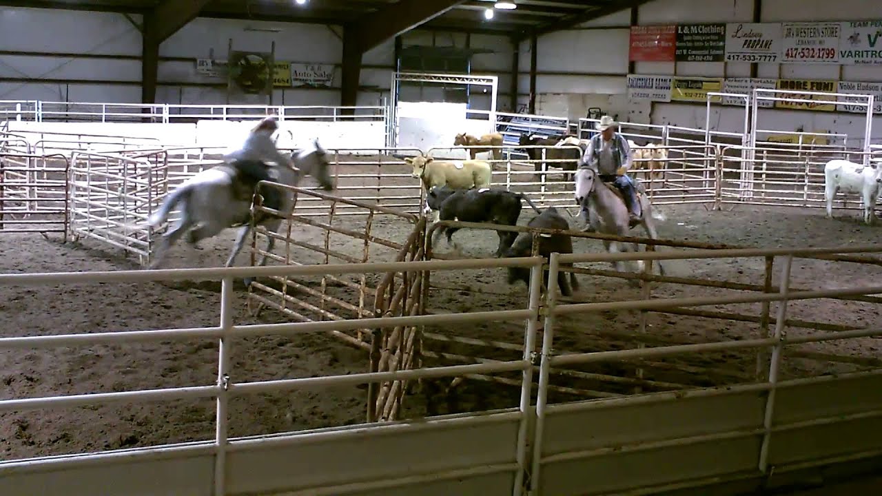 Sorting In Rodeo Rodeo calf sorting in arena - YouTube