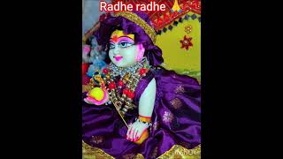 thakurji ki madhur seva🙏 #shortvideo #shyam #vairalvideo #bhakti #thakurji #radheshyam crofting diy