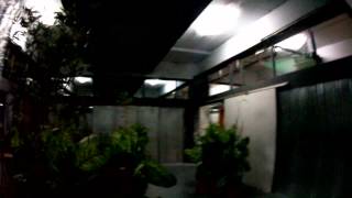 20120826 - CQB Plaza - Part2