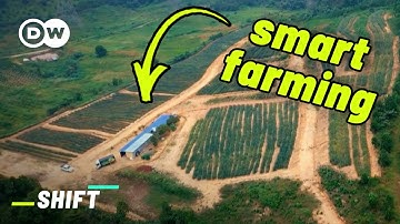 Can These Sensors Make for Better Food? | GreenTech