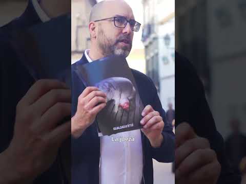Nuevo juicio a los dueños de la granja investigada por Jordi Évole e Igualdad Animal