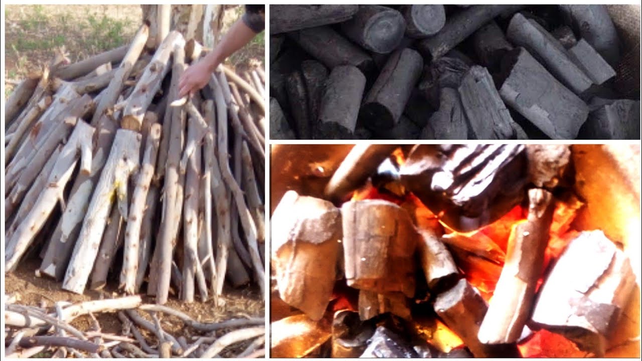 الفحم الخشبي/ كوشة الفاخر