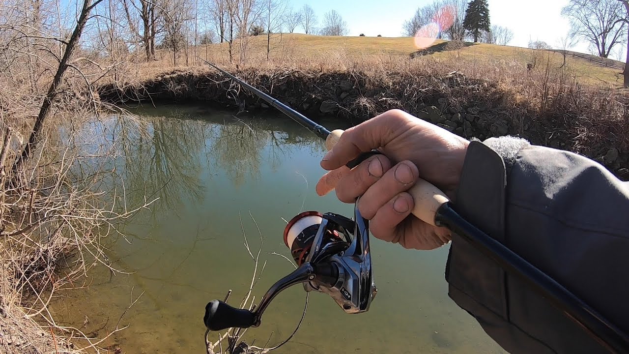My Spinning Setup (Shimano Stradic)