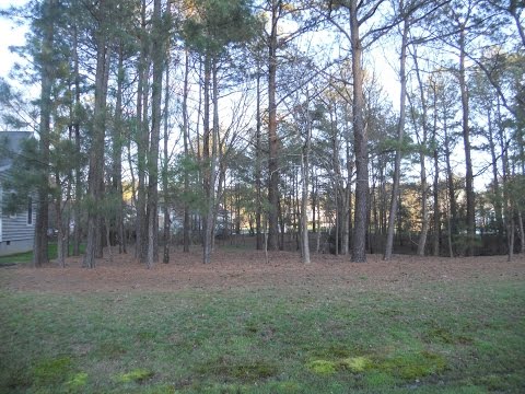 504 Tidewater, Ocean Pines, MD home video tour