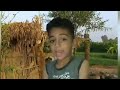 أنا واحد مليش فى السياسة نجومي