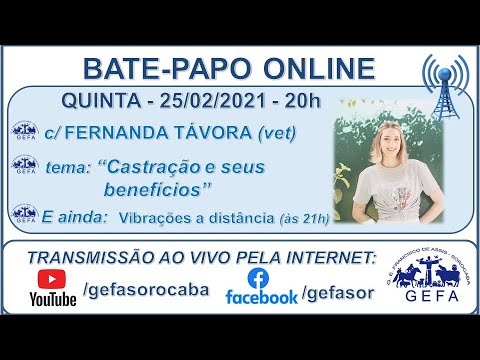 Assista: Bate-papo online - c/ FERNANDA T�?VORA (25/02/2021)
