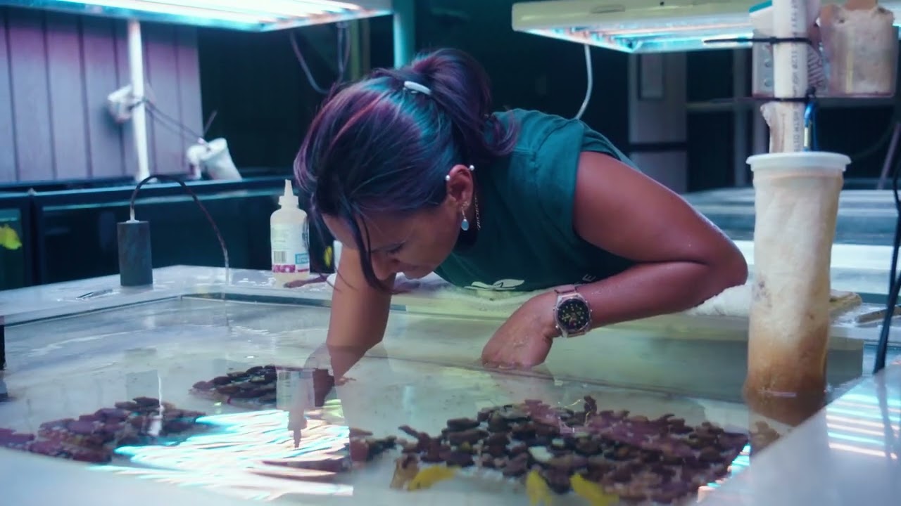 Maui Ocean Center's Conservation Efforts