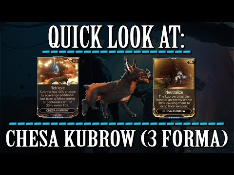 Warframe - Quick Look At: Reworked Chesa Kubrow (3 Forma)