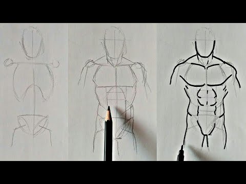 how to draw a male body step by step for beginners