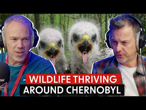 The Real Legacy of Chernobyl Isn’t What You Think