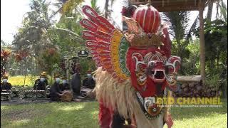 Barong Kemiren - Sanggar Laros Osing Kemiren - Aktualisasi Seni Budaya Banyuwangi 2021