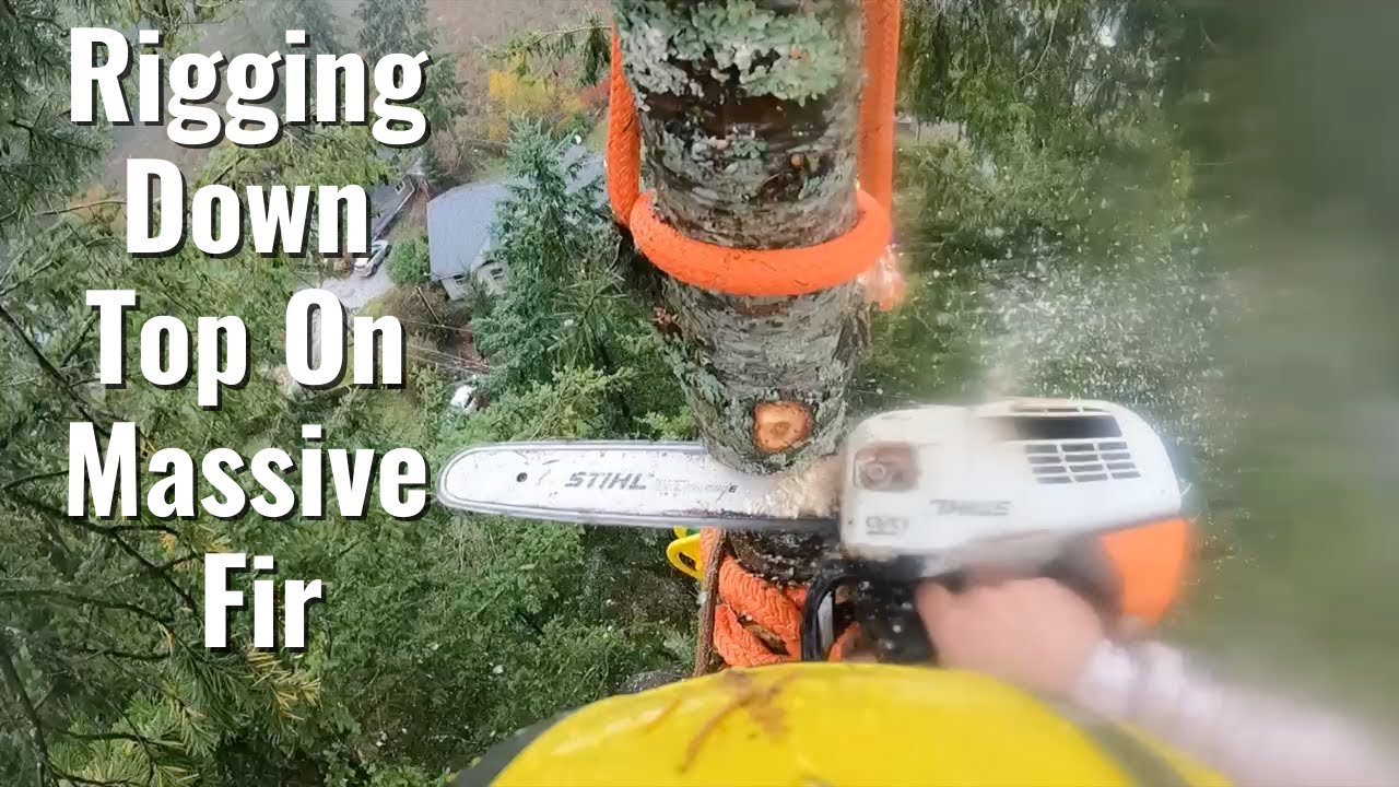 Tree Down Rigging 150 Ft FIR TREE REMOVAL | RIGGING THE TOP DOWN | TREE CLIMBER | TREE ...