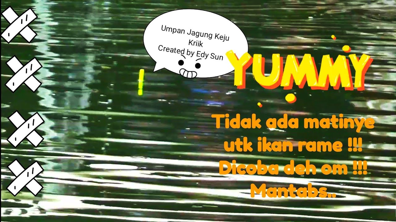 Umpan Jagung Keju Kriik