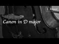 Pachelbel Canon In D No Ads 1 Hour Music