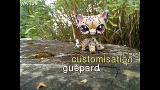 10 Custom Lps Petshop Guepard Chat Europeen Youtube