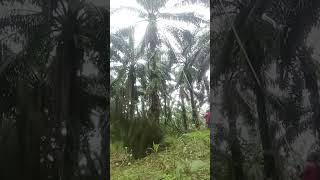 Sarapan Pagi Dulu Kita Guys