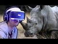 Close To A Rhino! - Virry VR - Playstation VR | Ep2