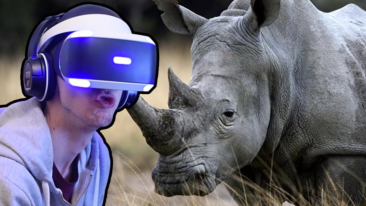 sharknado 5 Close To A Rhino! - Virry VR - Playstation VR | Ep2
