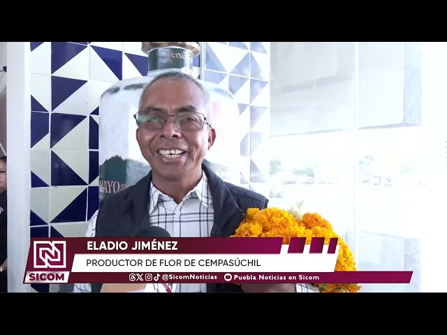 #ENTÉRATE | 🌼🏵️ ¡Atlixco se llena de color con la flor de temporada!