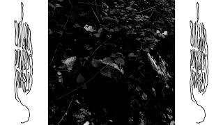 unknown artist - untitled (excerpt)