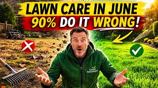 The June Lawn Mistake That's Secretly Killing Your Grass