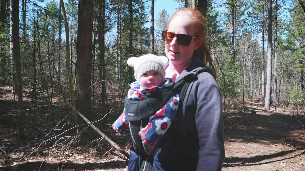 A Day Out On The Beagle Club Road Forest Trail (Northumberland County