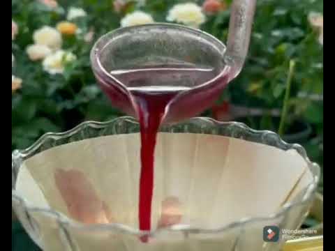 لن تصدق احمر الشفاه اصله من حشرة شفاف أحمر شفايف جمالك حشرة عجيب غريب سبحان الله 