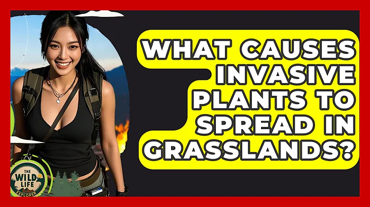 What Causes Invasive Plants To Spread In Grasslands? - The Wild Life Explorer